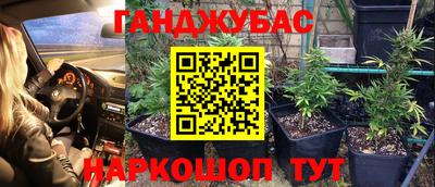 PSILOCYBIN Гагарин